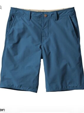 Patagonia Men's Stretch Wavefarer Walk Shorts 35